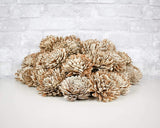 3" Bark Zinnia - 50 Pack - Sola Wood Flowers