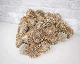 3" Bark Zinnia - 50 Pack - Sola Wood Flowers