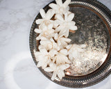 3" Bitty (10 pack) - Sola Wood Flowers
