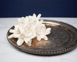3" Bitty (10 pack) - Sola Wood Flowers