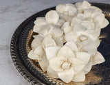 3" Brittney (10 pack) - Sola Wood Flowers