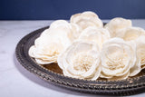 3" Buckeye Belle Peony (10 Pack) - Sola Wood Flowers