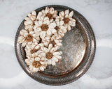 3" Cape Daisy (10 Pack) - Sola Wood Flowers