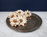 3" Cape Daisy (10 Pack) - Sola Wood Flowers