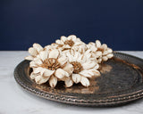 3" Cape Daisy (10 Pack) - Sola Wood Flowers