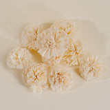 3" Carnation (10 pack) - Sola Wood Flowers