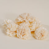3" Carnation (10 pack) - Sola Wood Flowers
