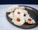 3" Classic Daisy (200 Pack) - Sola Wood Flowers