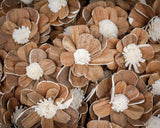3" Coco - 50 Pack - Sola Wood Flowers