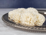 3" Curly Carnation (10 Pack) - Sola Wood Flowers