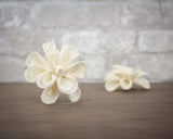3" Dainty Daisy (10 pack) - Sola Wood Flowers