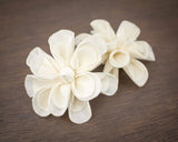 3" Dainty Daisy (10 pack) - Sola Wood Flowers