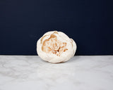 3" Darla (10 Pack) - Sola Wood Flowers