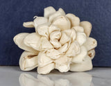 3" Donna (10 Pack) - Sola Wood Flowers
