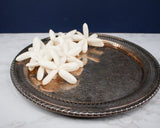 3" Dragonfly (10 Pack) - Sola Wood Flowers