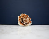 3" Georgia Rose (10 Pack) - Sola Wood Flowers