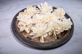 3" Labyrinth Dahlia (10 Pack) - Sola Wood Flowers