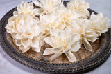 3" Labyrinth Dahlia (10 Pack) - Sola Wood Flowers