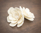 3" Lucky (10 pack) - Sola Wood Flowers