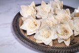 3" Nymphaeaceae (10 Pack) - Sola Wood Flowers