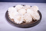 3" Oxeye Daisy (10 Pack) - Sola Wood Flowers