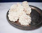 3" Polar Star Rose (10 pack) - Sola Wood Flowers