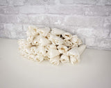 3" Precious Tulip - 50 Pack - Sola Wood Flowers