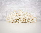 3" Precious Tulip - 50 Pack - Sola Wood Flowers