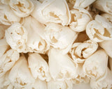 3" Precious Tulip - 50 Pack - Sola Wood Flowers