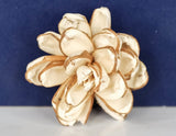 3" Savvy (10 pack) - Sola Wood Flowers