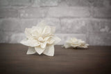 3" Scarlet (10 Pack) - Sola Wood Flowers