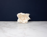 3" Shooting Star (10 Pack) - Sola Wood Flowers