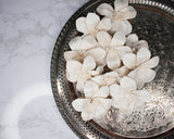 3" Stargazer Lily (10 pack) - Sola Wood Flowers