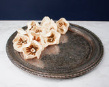 3" Sweetbay Magnolia (10 Pack) - Sola Wood Flowers