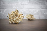 3" Thistle (10 Pack) - Sola Wood Flowers