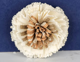 3" Tiger Eye (10 Pack) - Sola Wood Flowers