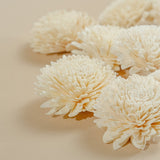 3" Wild Zinnia (10 pack) - Sola Wood Flowers