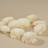 3" Wild Zinnia (10 pack) - Sola Wood Flowers