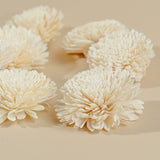 3" Wild Zinnia (10 pack) - Sola Wood Flowers