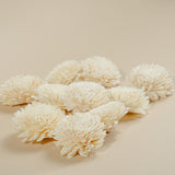 3" Wild Zinnia (10 pack) - Sola Wood Flowers