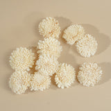 3" Wild Zinnia (10 pack) - Sola Wood Flowers