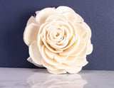 4" Aeonium Succulent (10 Pack) - Sola Wood Flowers