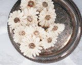 4" Daisy May (10 Pack) - Sola Wood Flowers