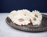 4" Daisy May (10 Pack) - Sola Wood Flowers