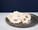 4" Daisy May (10 Pack) - Sola Wood Flowers