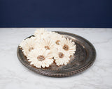 4" Daisy May (10 Pack) - Sola Wood Flowers