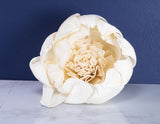 4" Darla (10 Pack) - Sola Wood Flowers