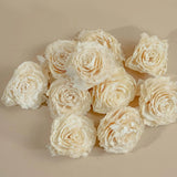 4" Dorothy (10 Pack) - Sola Wood Flowers