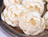 4" Fresia (10 Pack) - Sola Wood Flowers