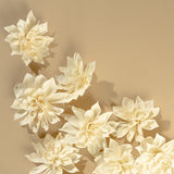 4" Labyrinth Dahlia (10 Pack) - Sola Wood Flowers